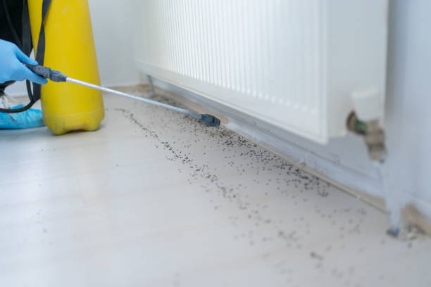 Professional Pest Control in Richlandtown, PA